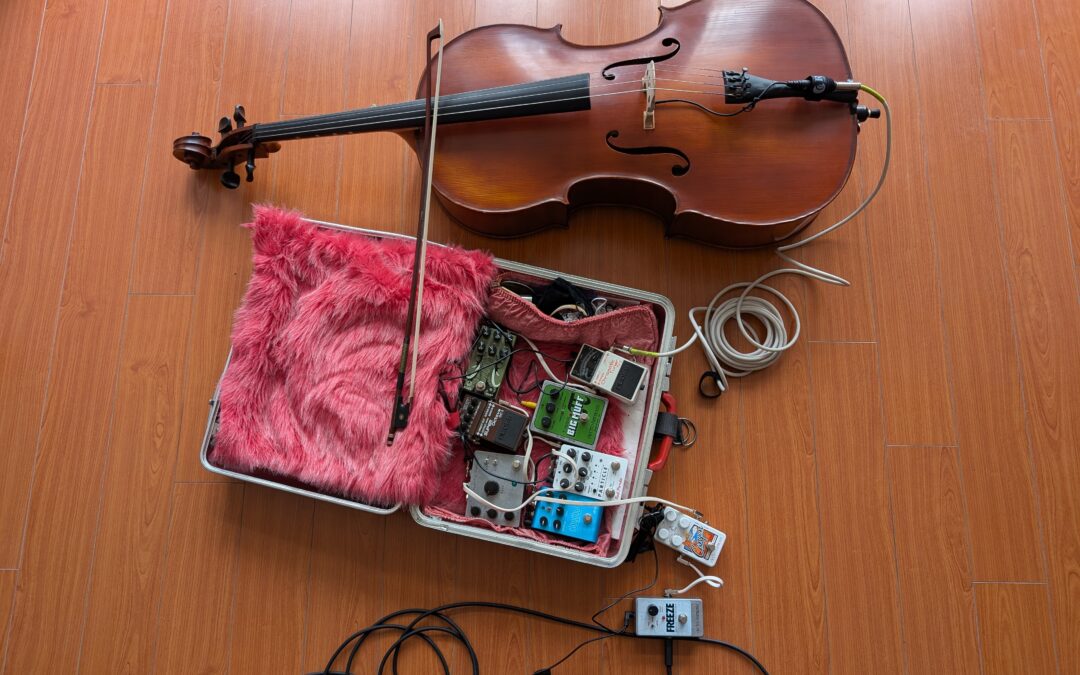 Matt plays cello with Bird/Edwards/Elkins/Hasselberg